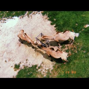 Meet your Posher, Emma